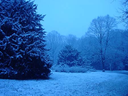 BaluerWinter