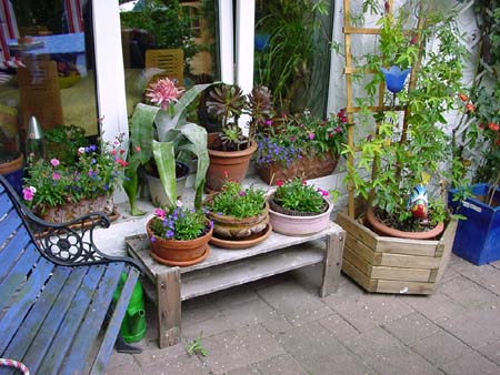 BlumenarrangementaufderTerrasse