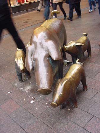 BremerSchweine