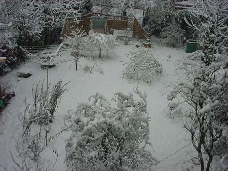 GartenunterSchnee