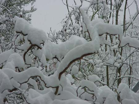 MehrSchneegehtnicht