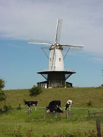 WindmühleinVeere